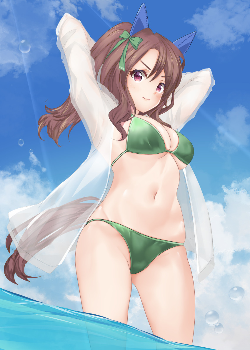 King Halo (Umamusume) Rule 34 Image