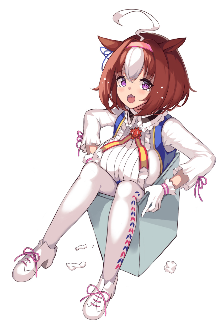Meisho Doto (Umamusume) Rule 34 Image