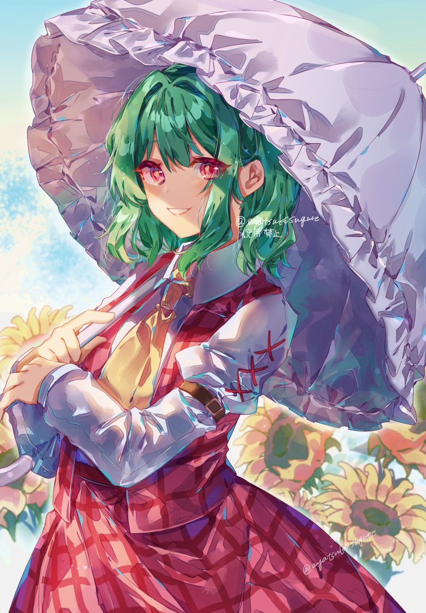 Kazami Yuuka (Touhou) Rule 34 Image