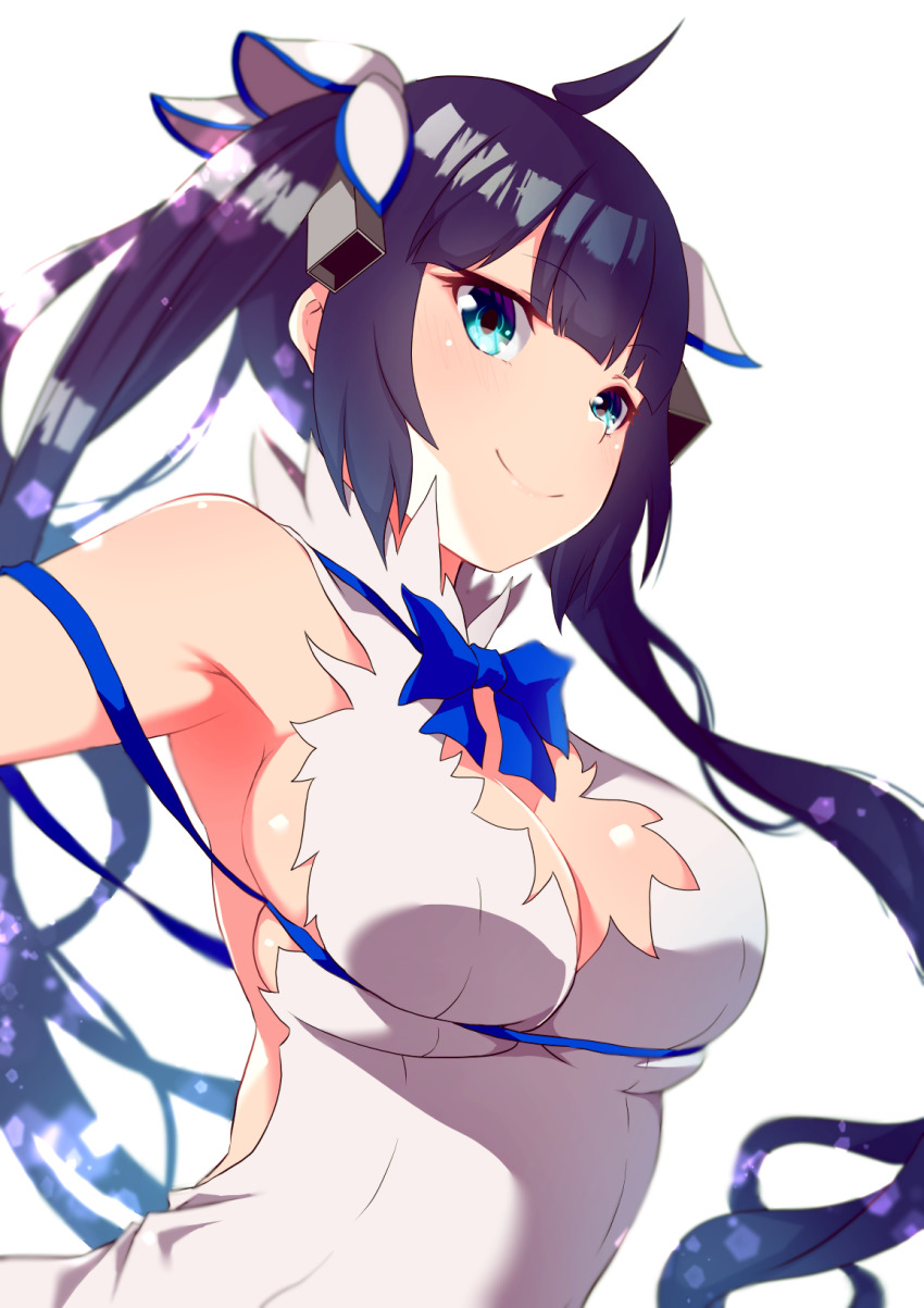 Hestia (Danmachi) Rule 34 Image
