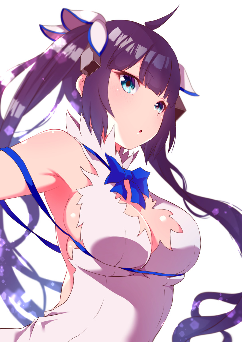 Hestia (Danmachi) Rule 34 Image