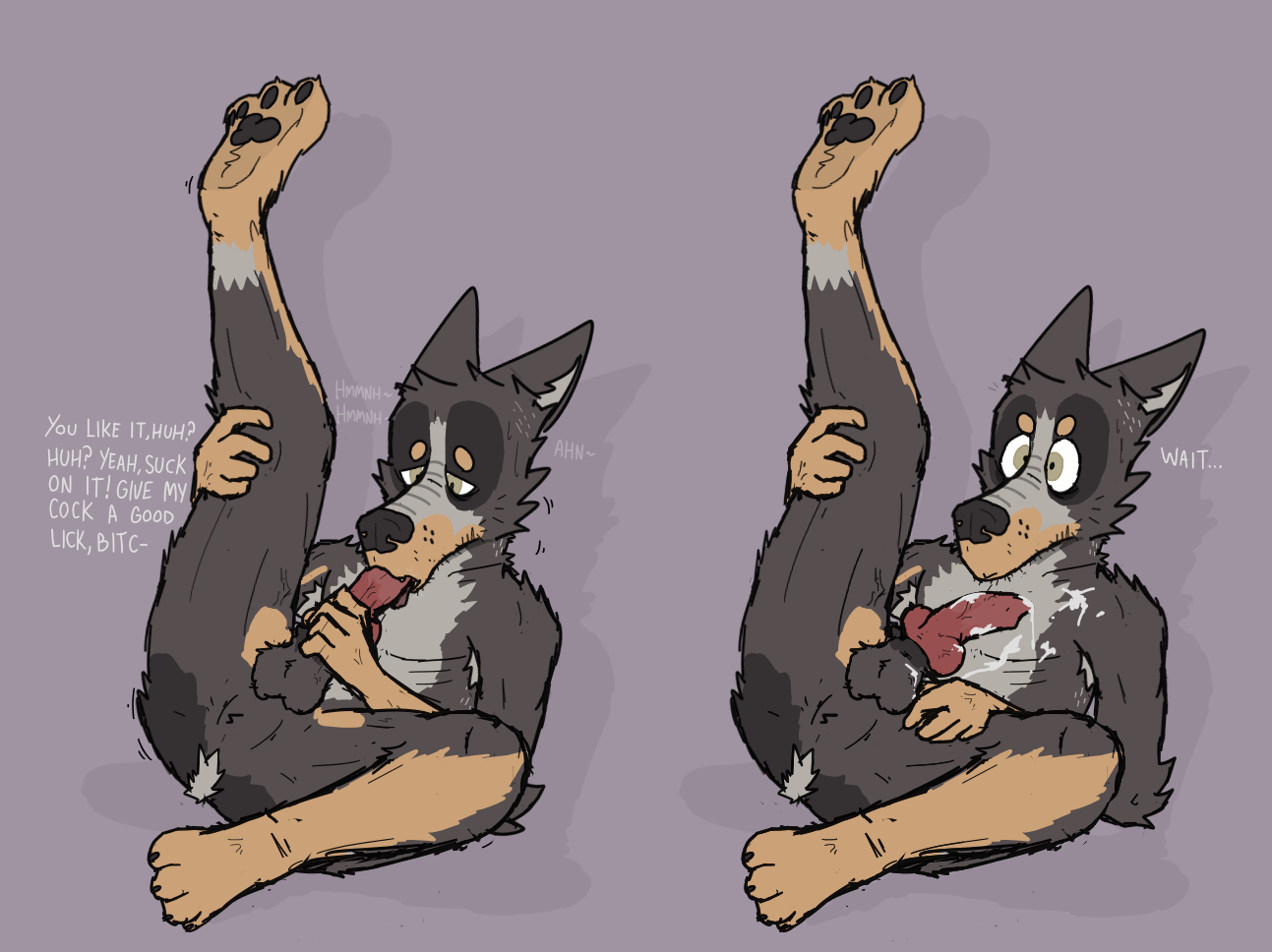 Animal Genitalia Rule 34 Image