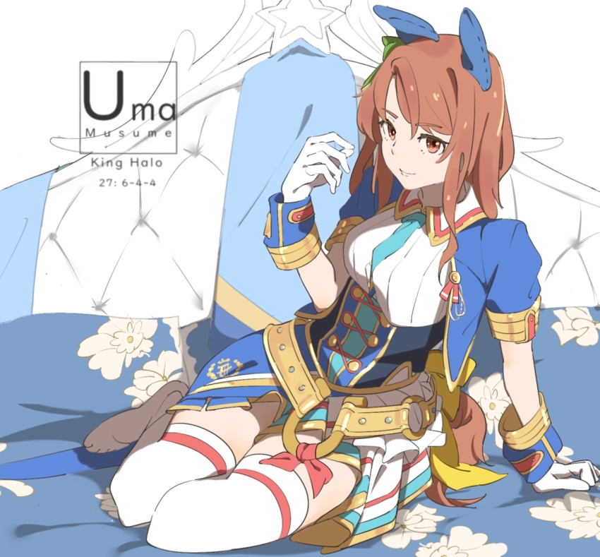King Halo (Umamusume) Rule 34 Image