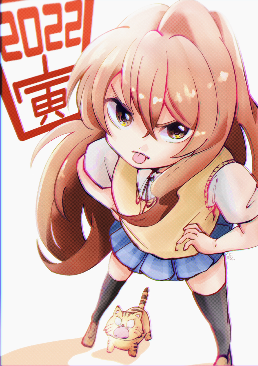 Aisaka Taiga (Chinese Zodiac) Rule 34 Image