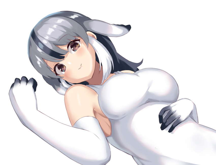 Bearded Seal (Kemono Friends) Rule 34 Image