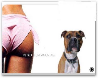 Animal Rule 34 Image
