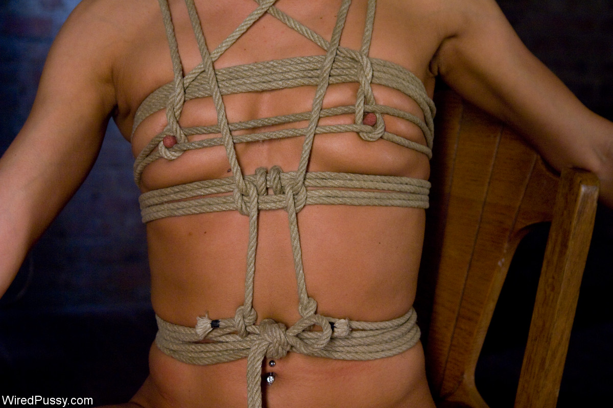 Kink (Copyright) Rule 34 Image