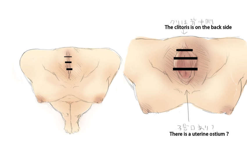 Breasts Rule 34 Image
