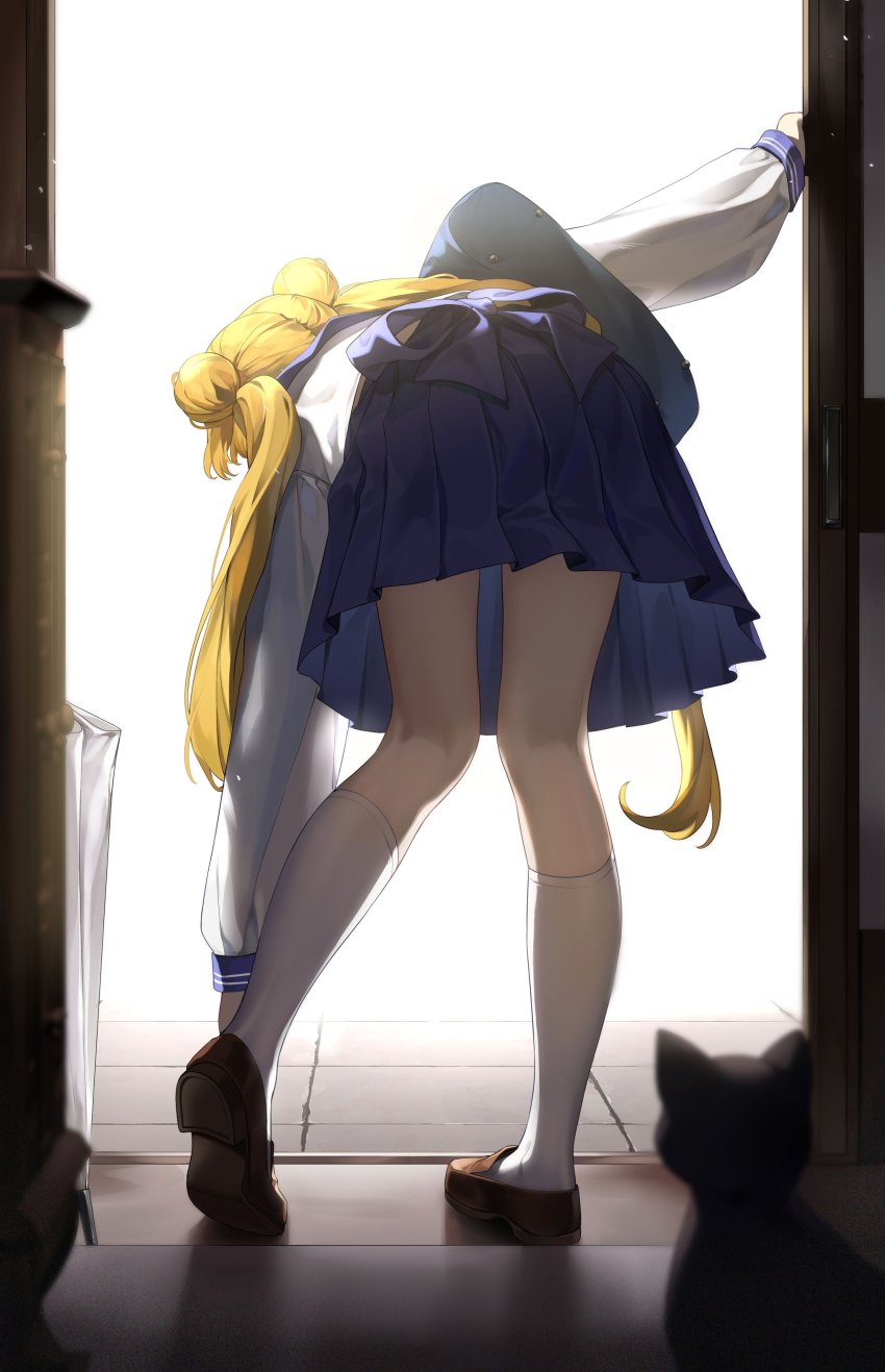 Bishoujo Senshi Sailor Moon Rule 34 Image