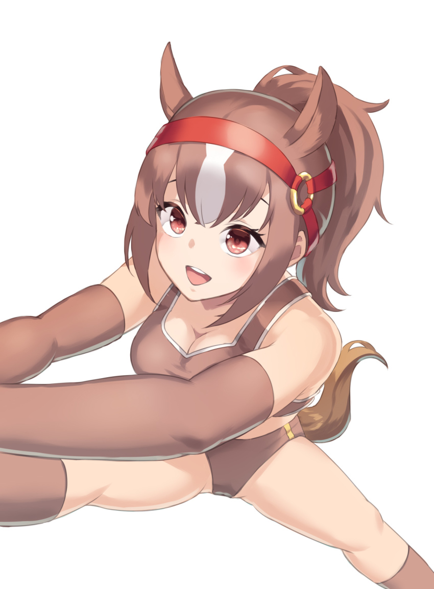 Chestnut Thoroughbred (Kemono Friends) Rule 34 Image