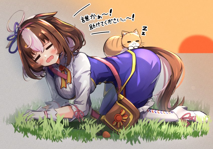 Meisho Doto (Umamusume) Rule 34 Image