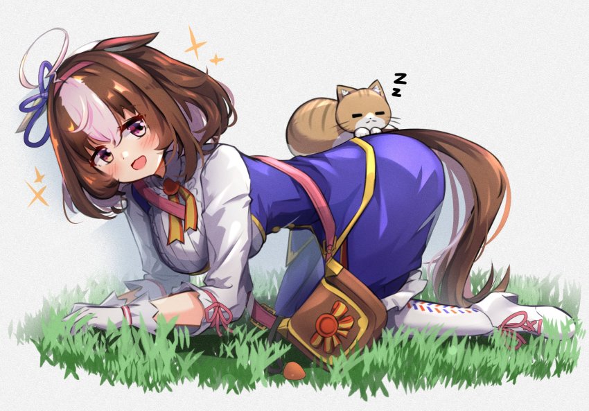 Meisho Doto (Umamusume) Rule 34 Image