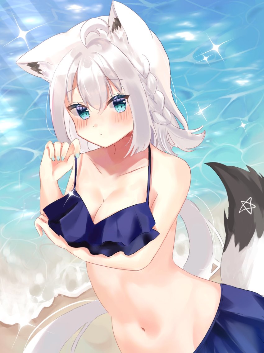 Shirakami Fubuki (Hololive) Rule 34 Image
