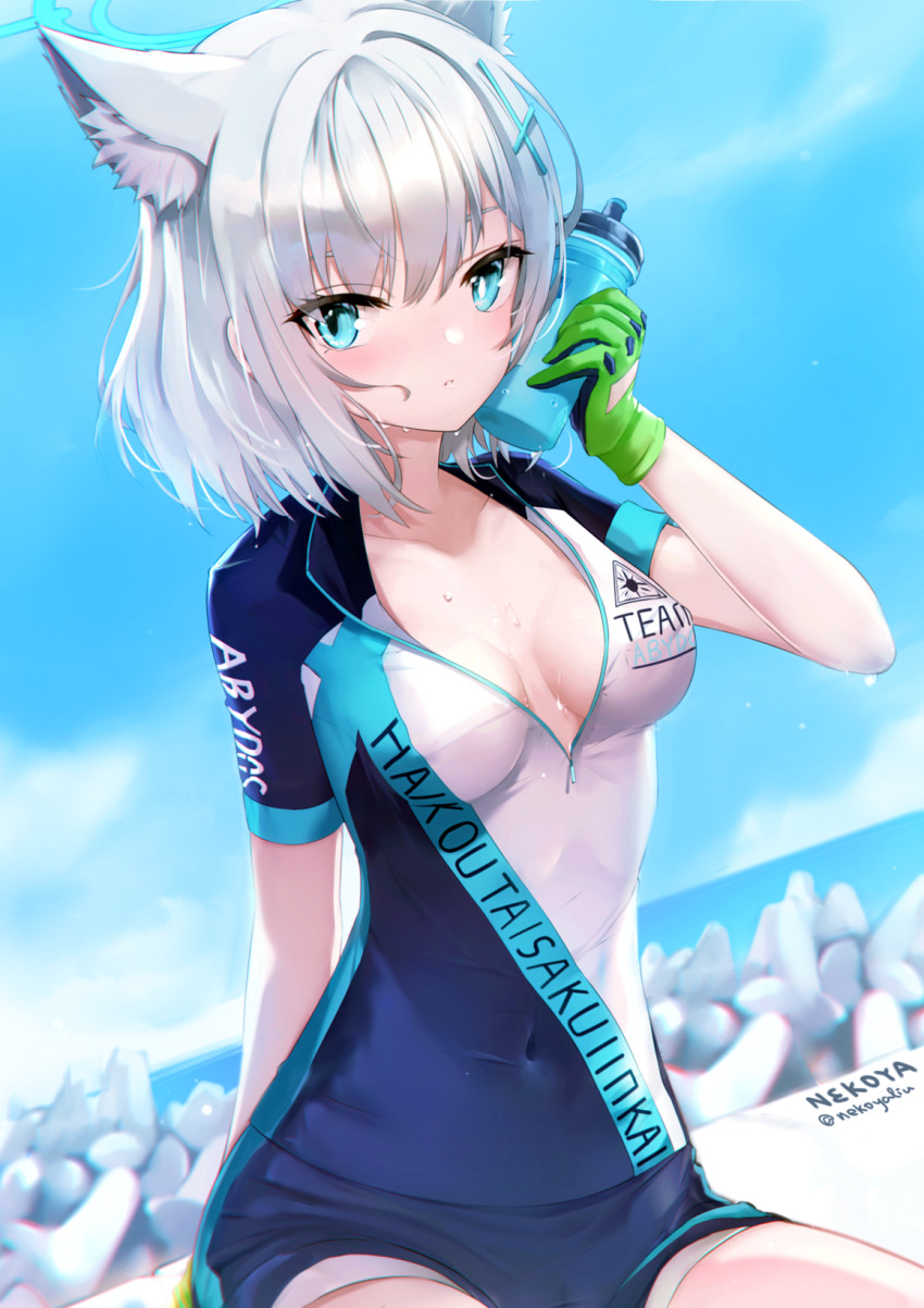 Shiroko (Blue Archive) Rule 34 Image