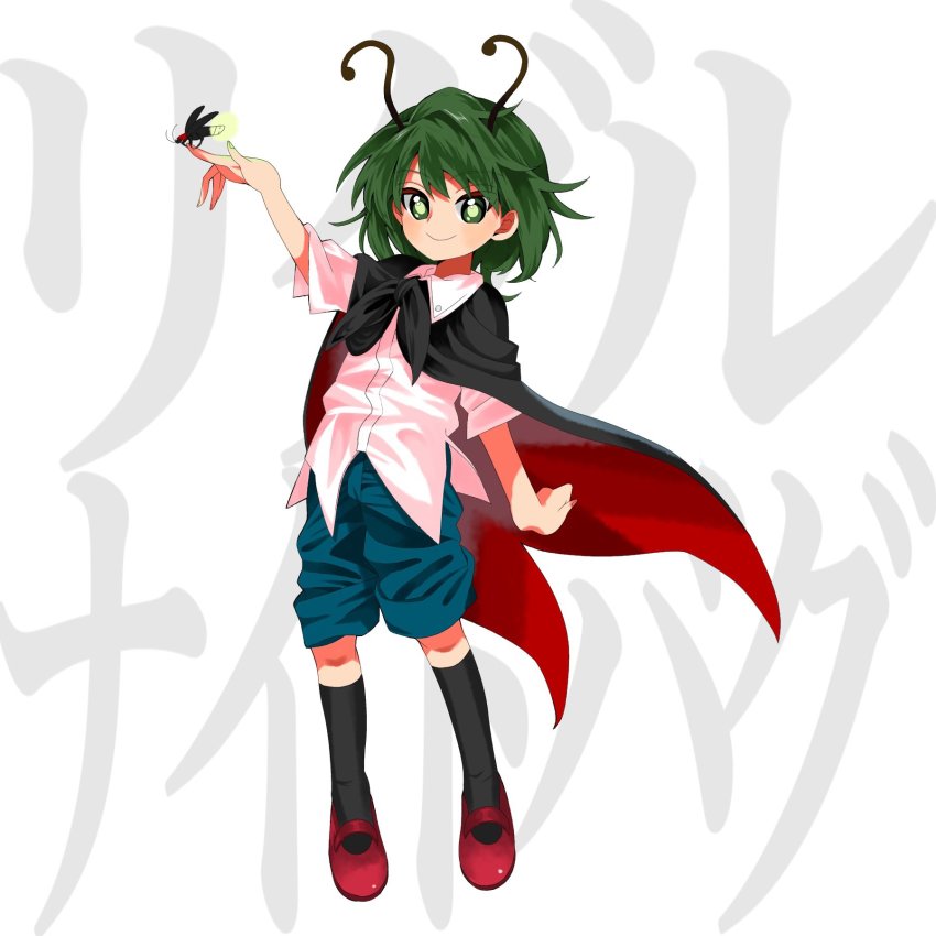 Wriggle Nightbug (Touhou) Rule 34 Image