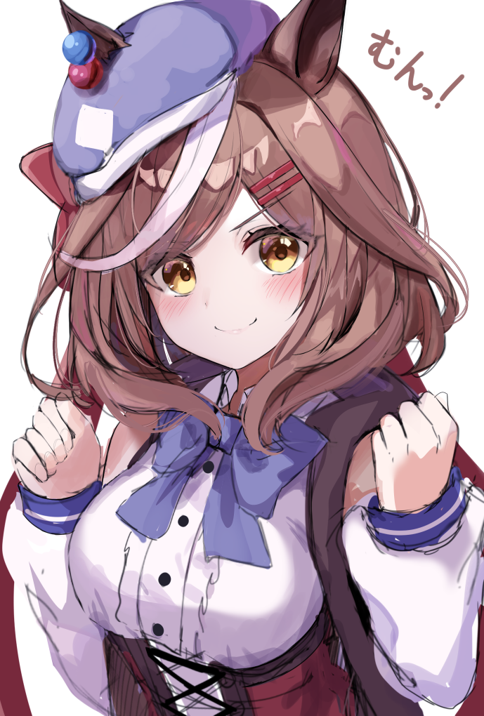 Umamusume Rule 34 Image