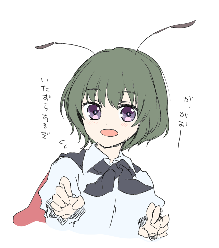 Wriggle Nightbug (Touhou) Rule 34 Image