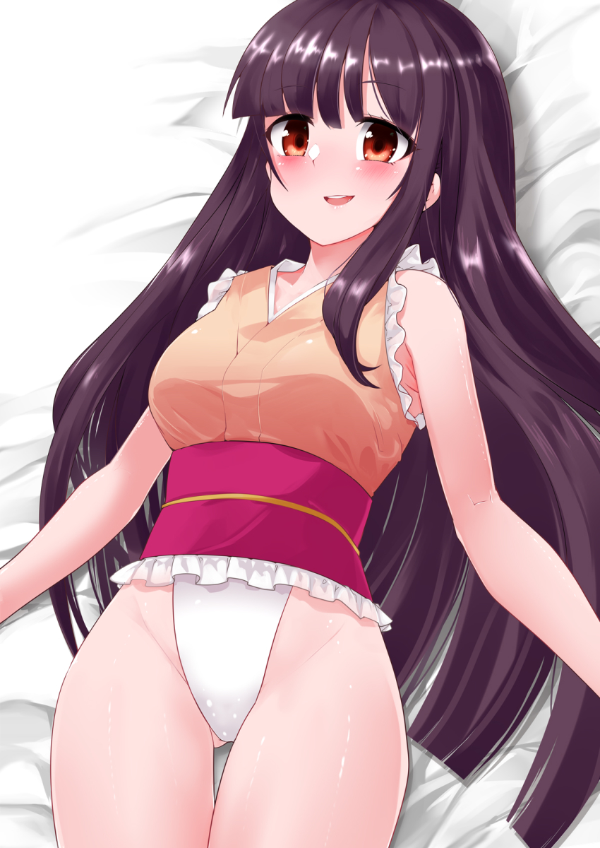Houraisan Kaguya (Touhou) Rule 34 Image