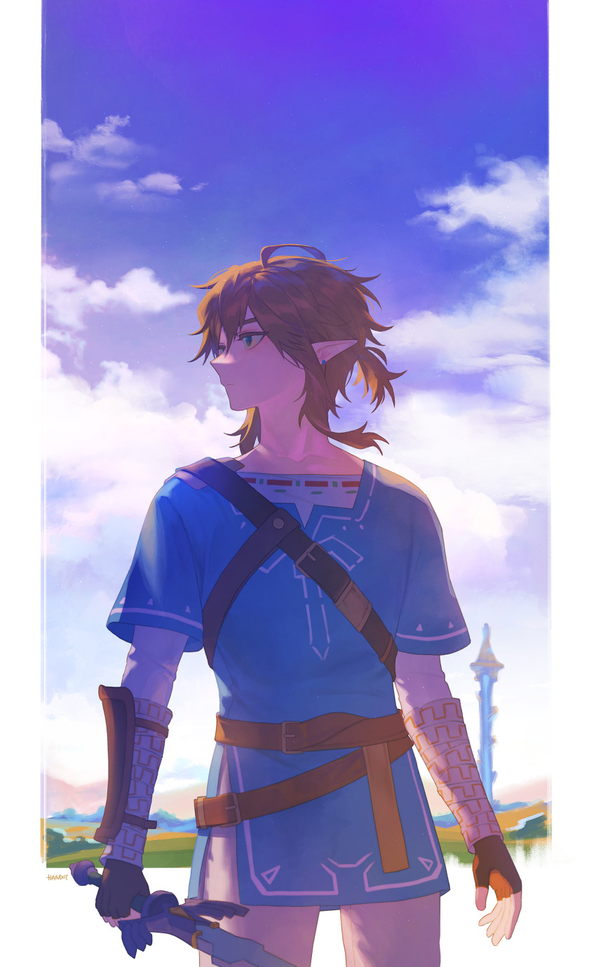 Link (Nintendo) Rule 34 Image