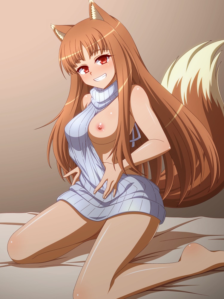 Holo (Spice And Wolf) Rule 34 Image