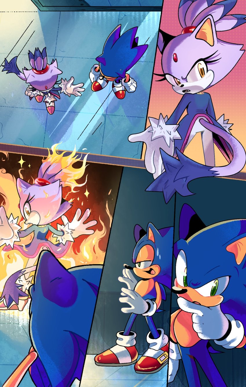 Blaze The Cat (Sonic (Series)) Rule 34 Image