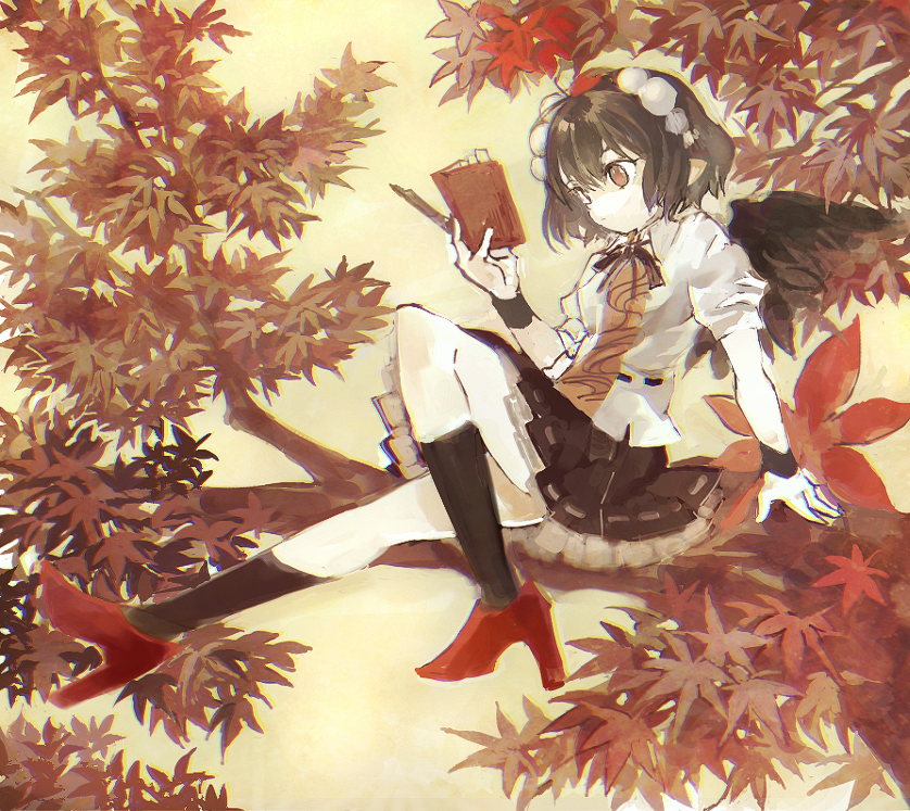 Shameimaru Aya (Touhou) Rule 34 Image