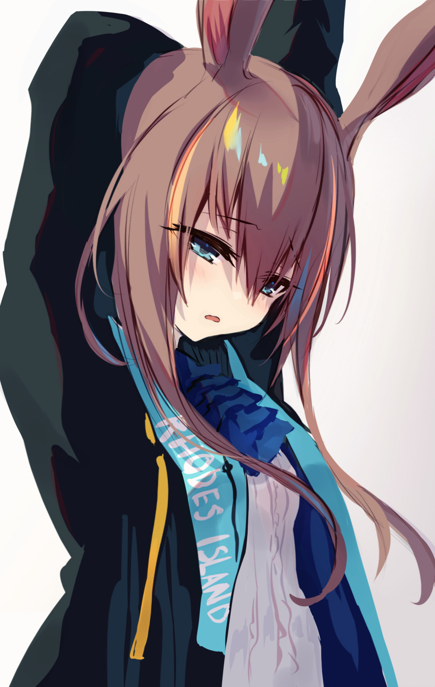 Amiya (Arknights) Rule 34 Image