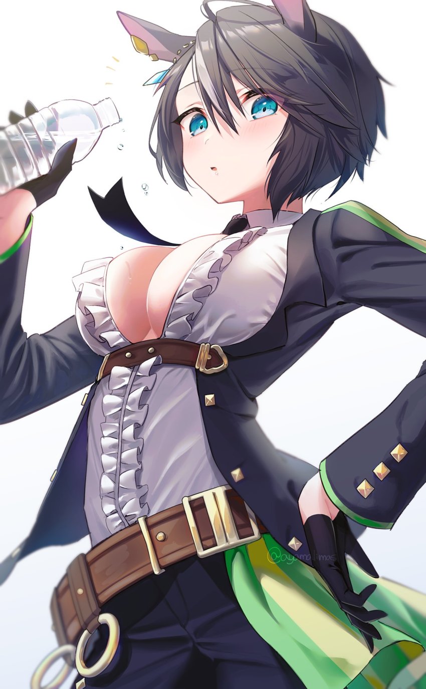 Fuji Kiseki (Shooting Star Revue) (Umamusume) Rule 34 Image