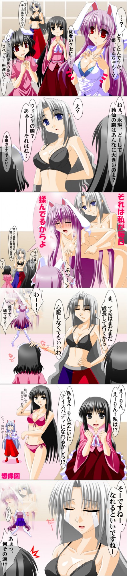 Eirin Yagokoro (Touhou) Rule 34 Image