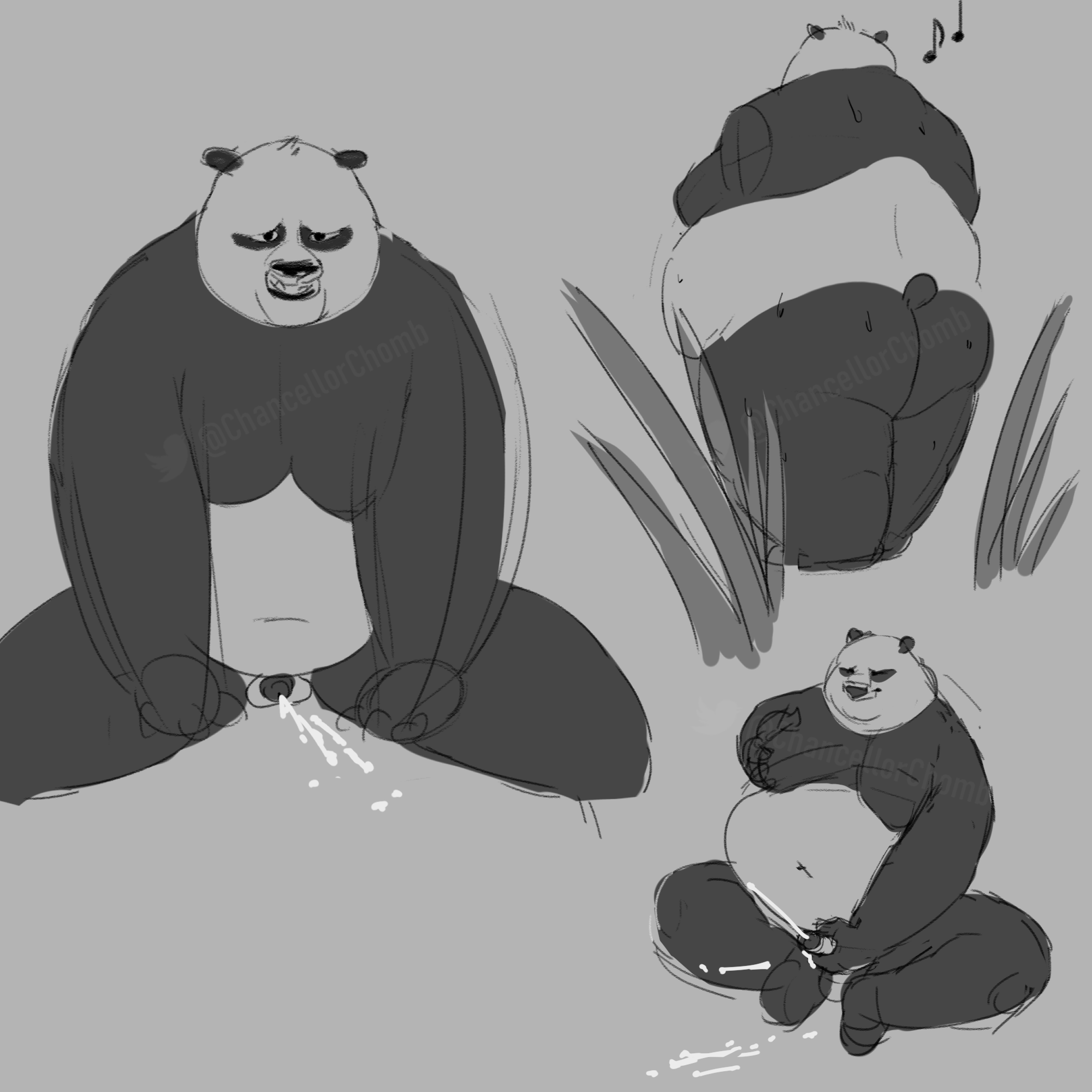 Master Po Ping (Dreamworks) Rule 34 Image