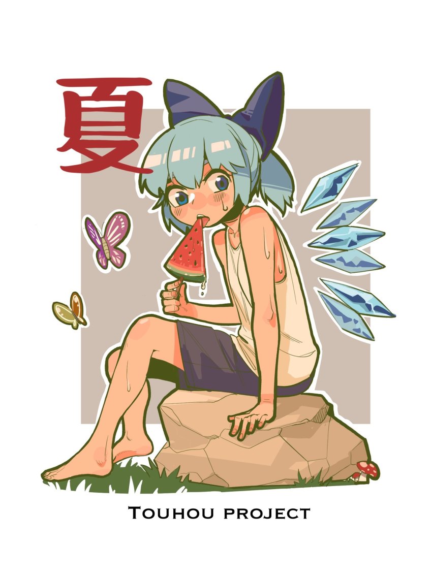 Cirno (Touhou) Rule 34 Image