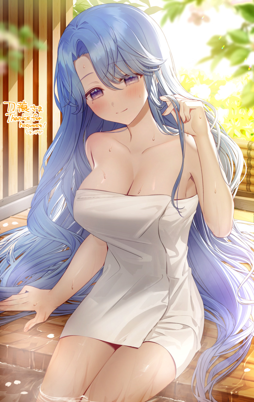 Noel (Mermaid Melody Pichi Pichi Pitch) Rule 34 Image