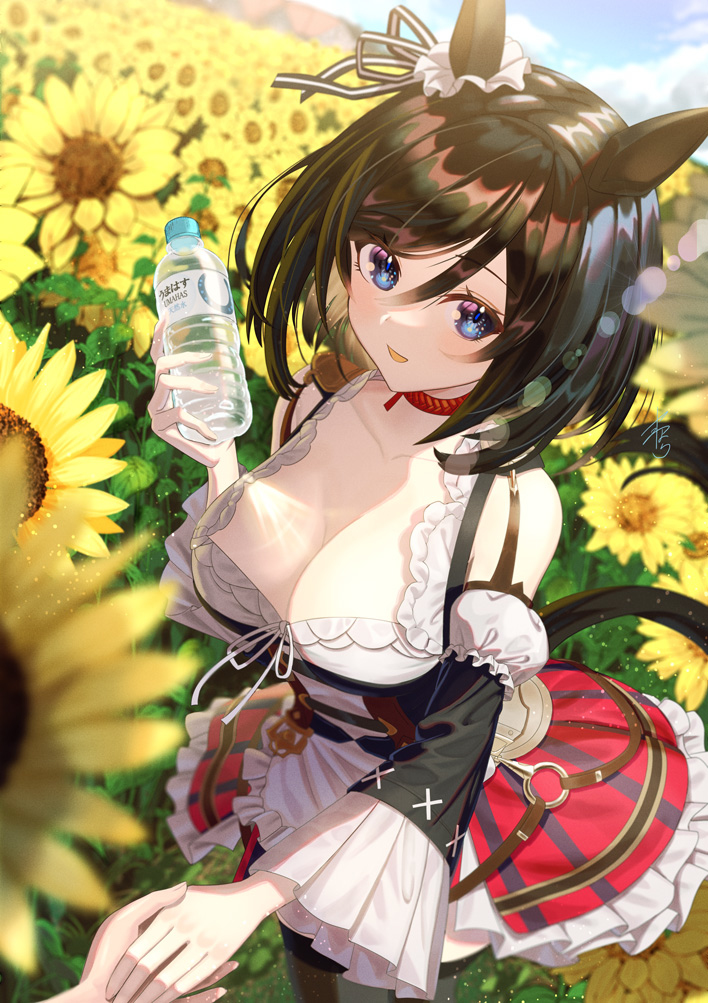 Eishin Flash (Umamusume) Rule 34 Image