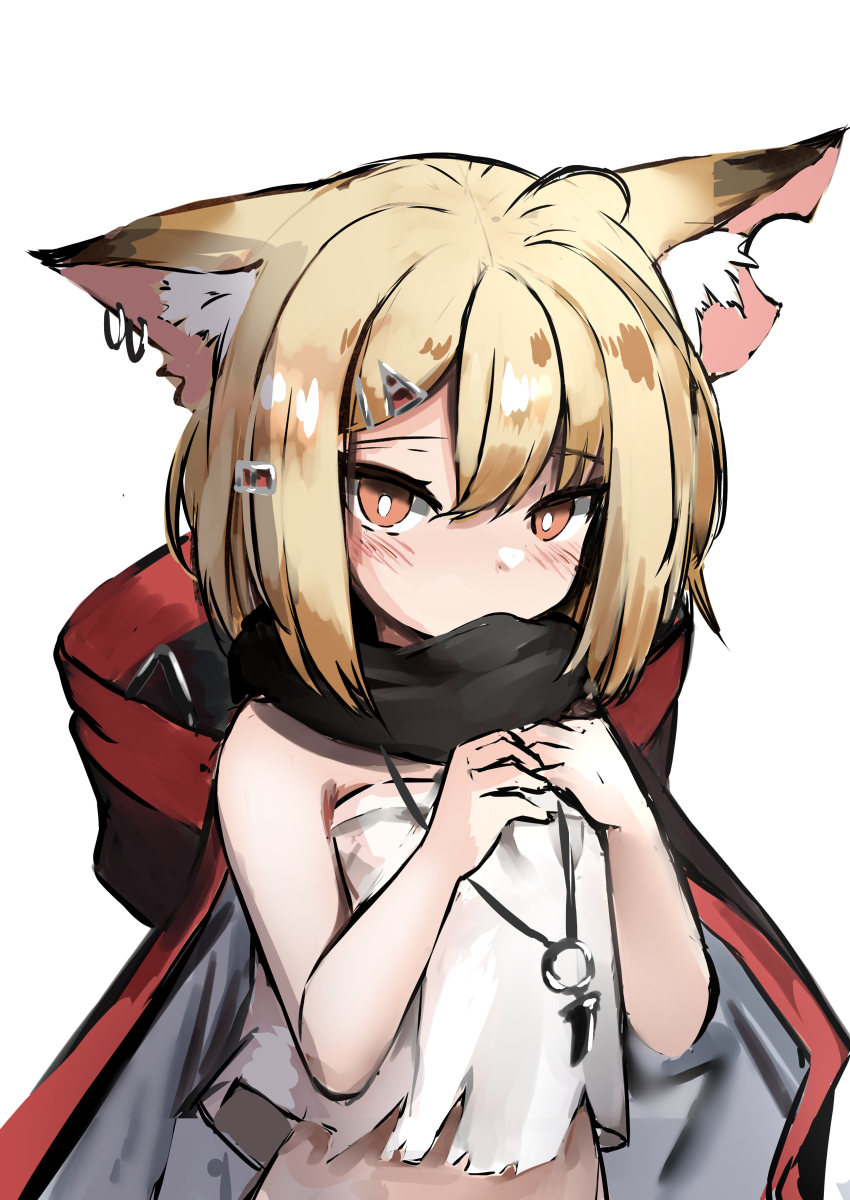 Vermeil (Arknights) Rule 34 Image