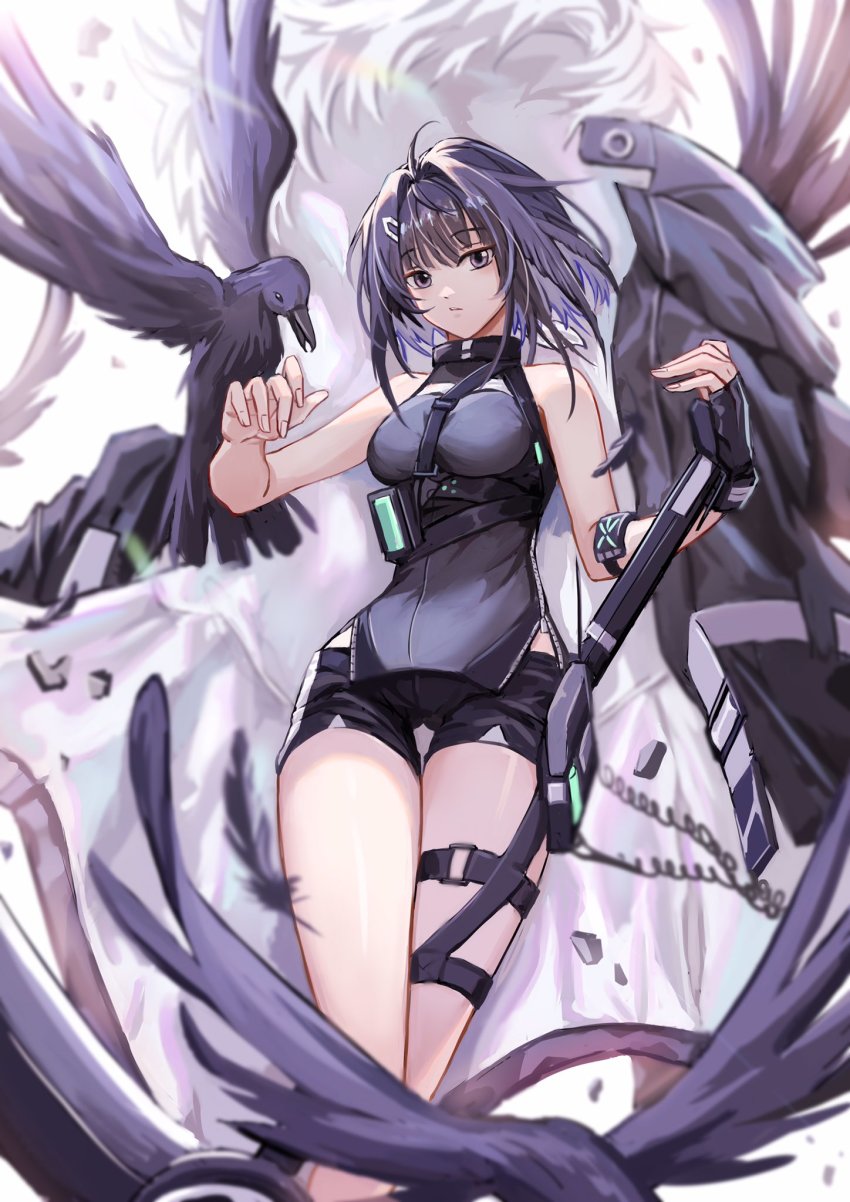 La Pluma (Arknights) Rule 34 Image