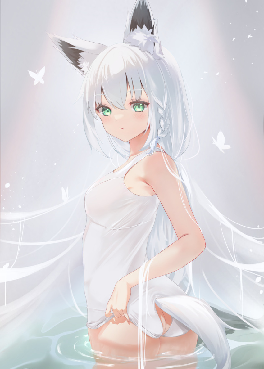 Shirakami Fubuki (Hololive) Rule 34 Image