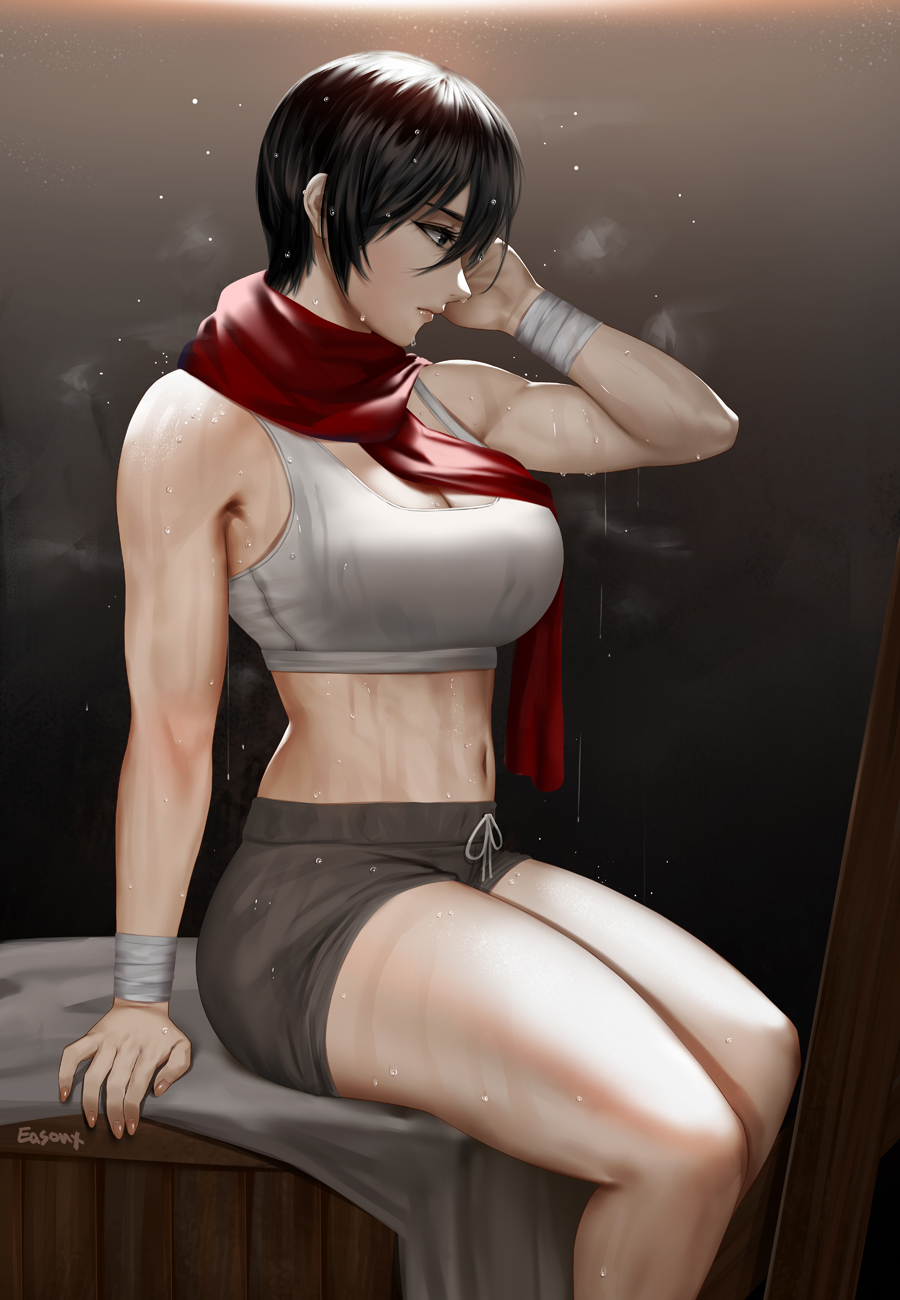 Mikasa Ackerman (Shingeki No Kyojin) Rule 34 Image