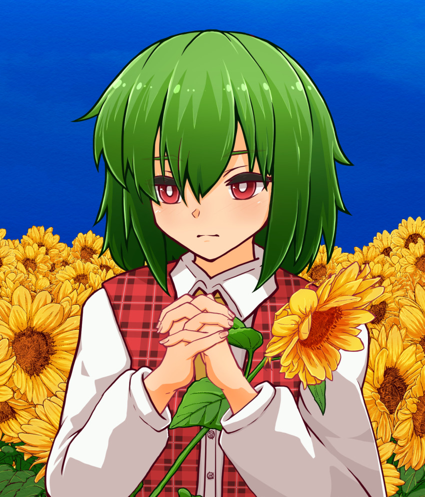 Kazami Yuuka (Touhou) Rule 34 Image