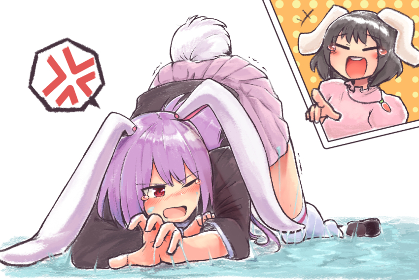 Inaba Tewi (Touhou) Rule 34 Image