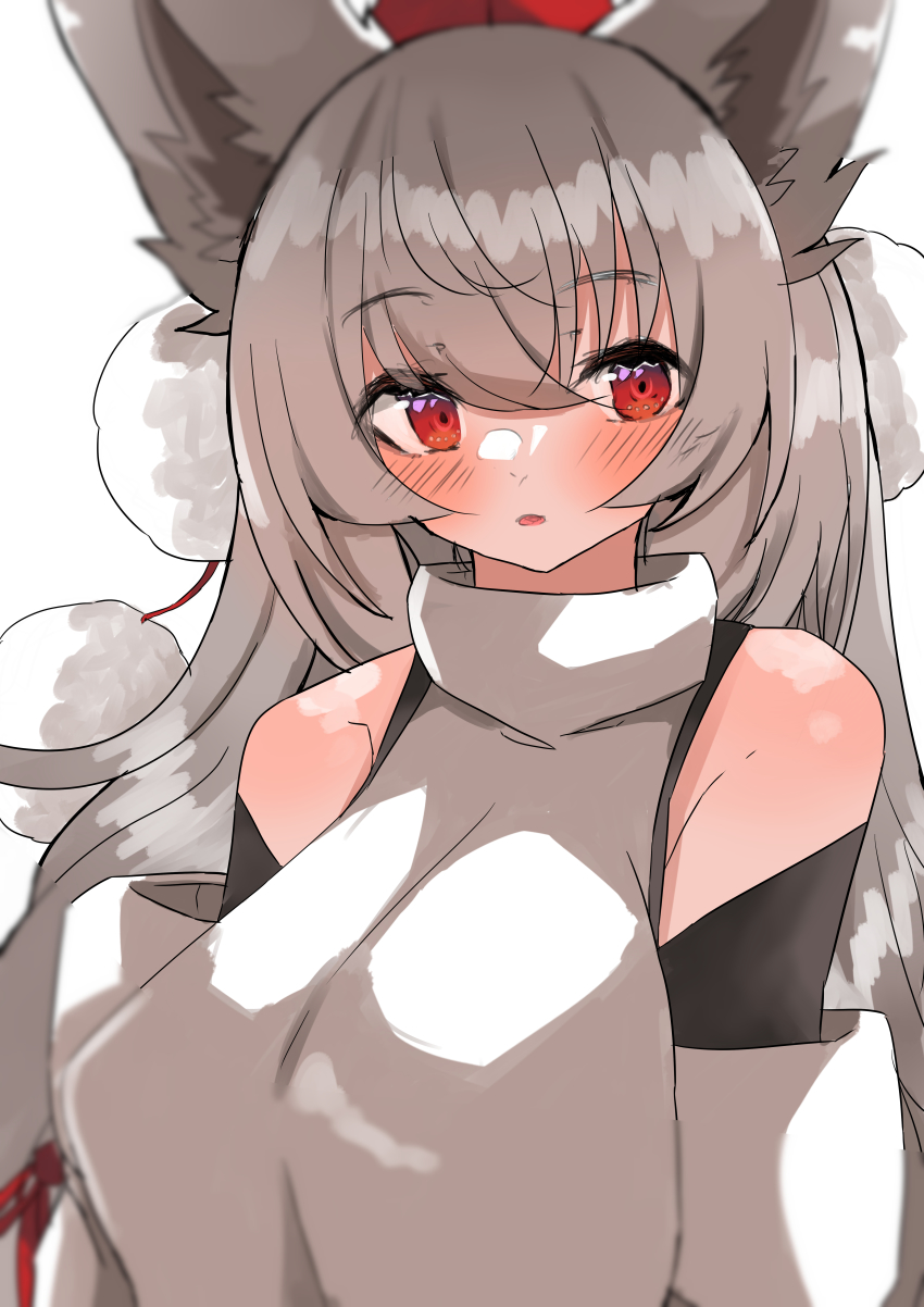 Inubashiri Momiji (Touhou) Rule 34 Image