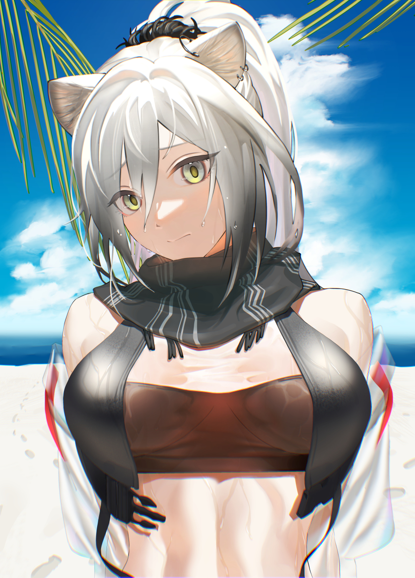 Schwarz (Arknights) Rule 34 Image