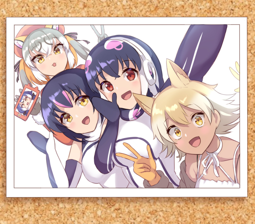 Coyote (Kemono Friends) Rule 34 Image