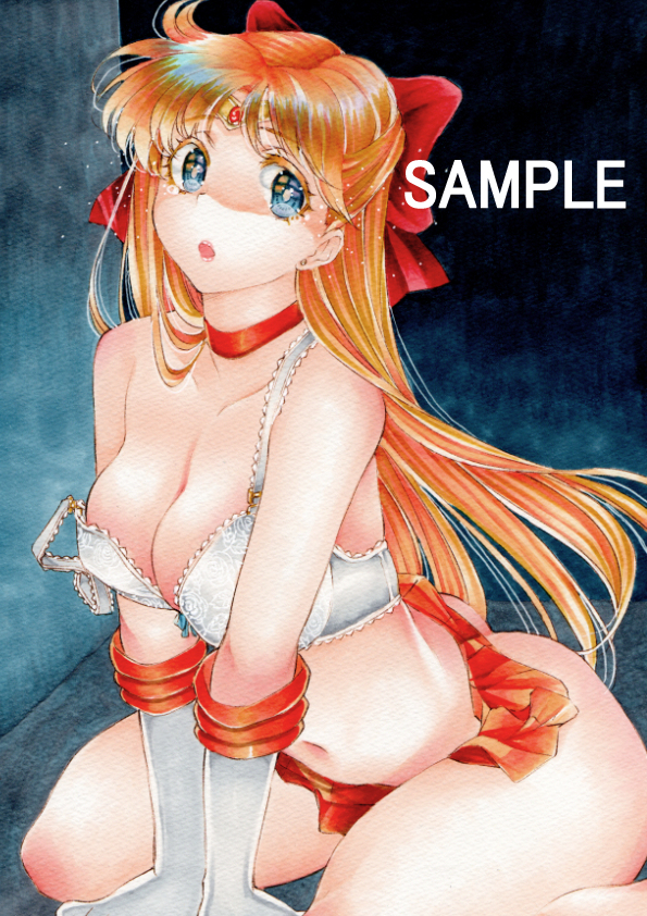 Sailor Venus (Aino Minako) Rule 34 Image
