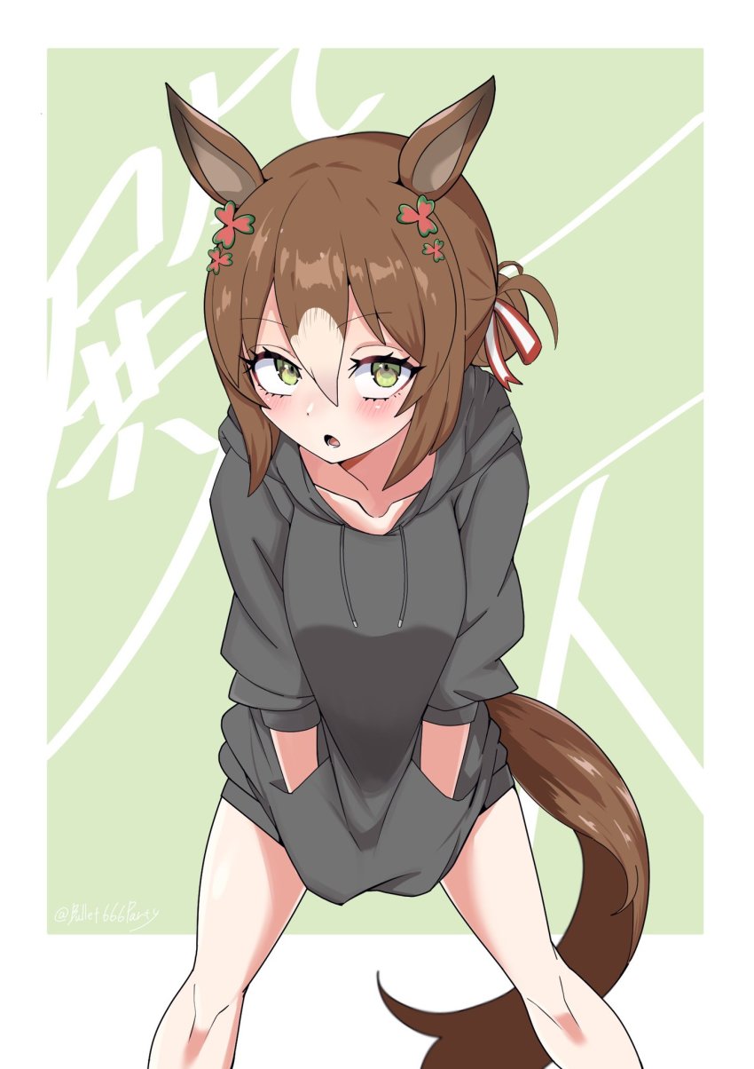 Fine Motion (Umamusume) Rule 34 Image