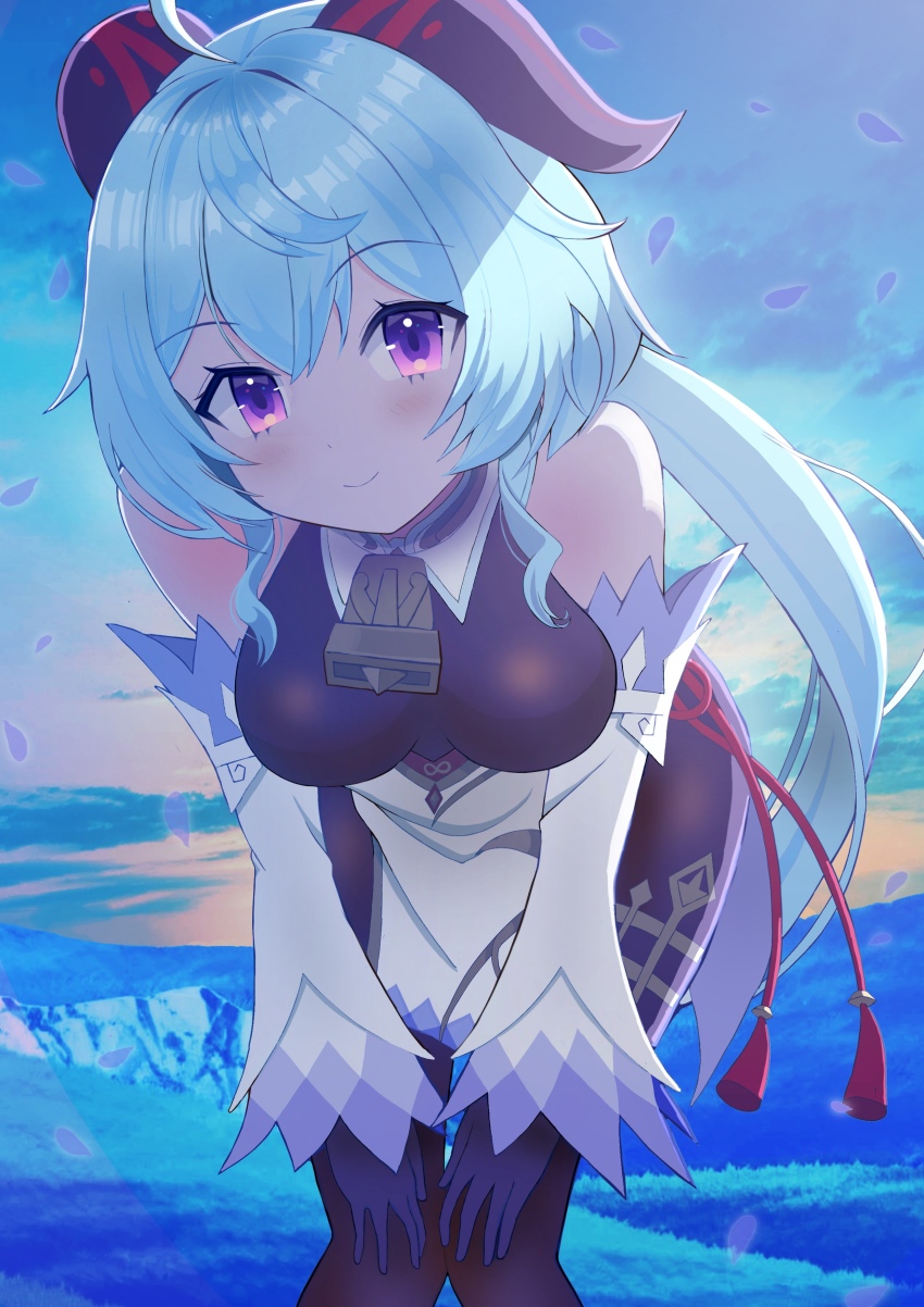 Ganyu (Genshin Impact) Rule 34 Image