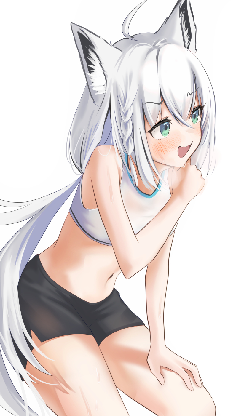 Shirakami Fubuki (Hololive) Rule 34 Image