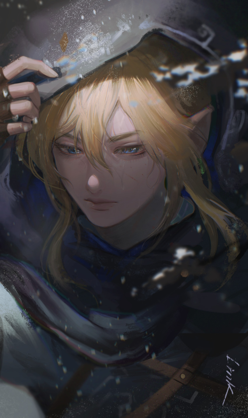 Link (Nintendo) Rule 34 Image