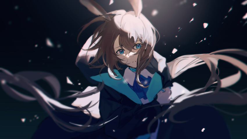 Amiya (Arknights) Rule 34 Image