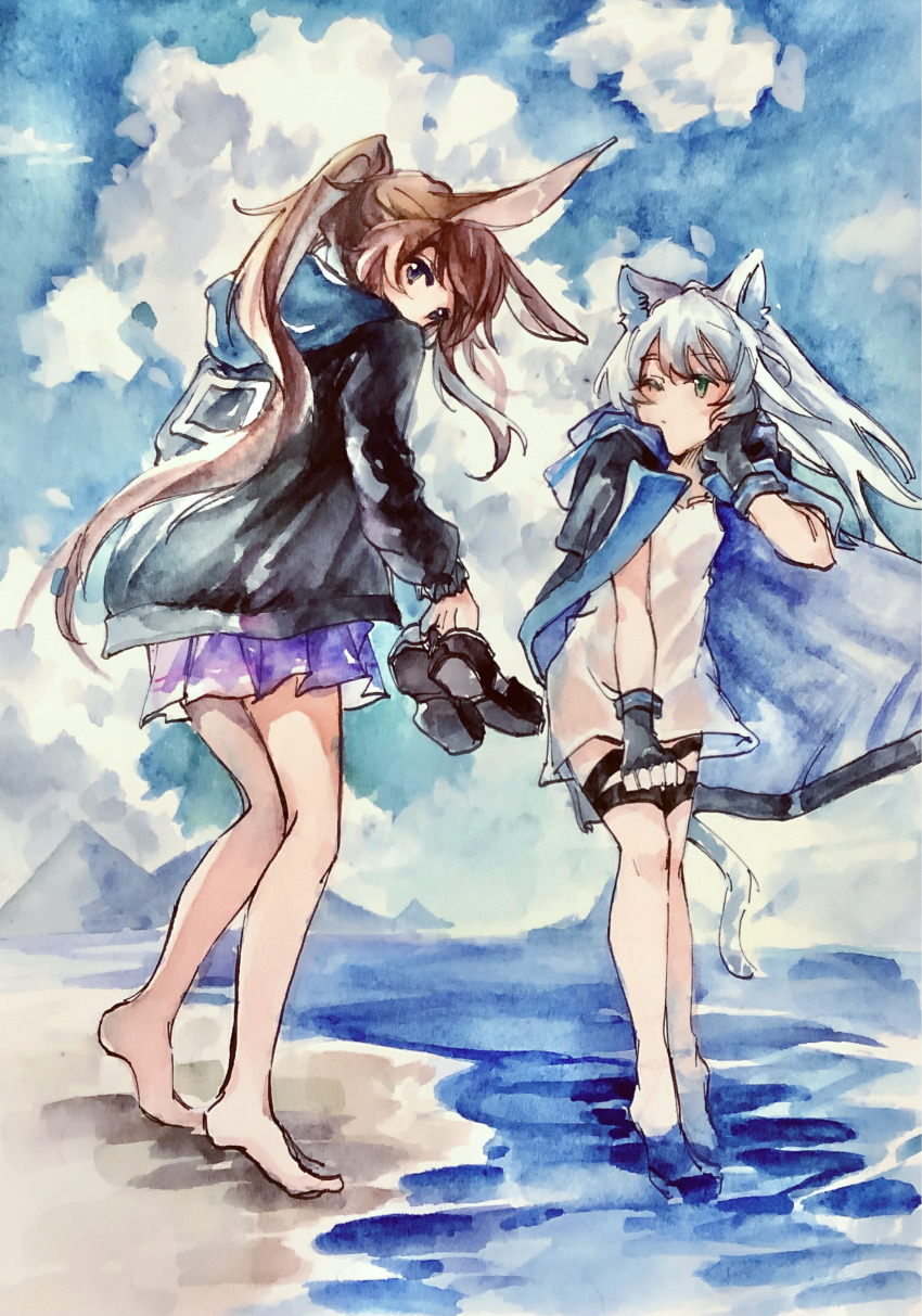 Amiya (Arknights) Rule 34 Image