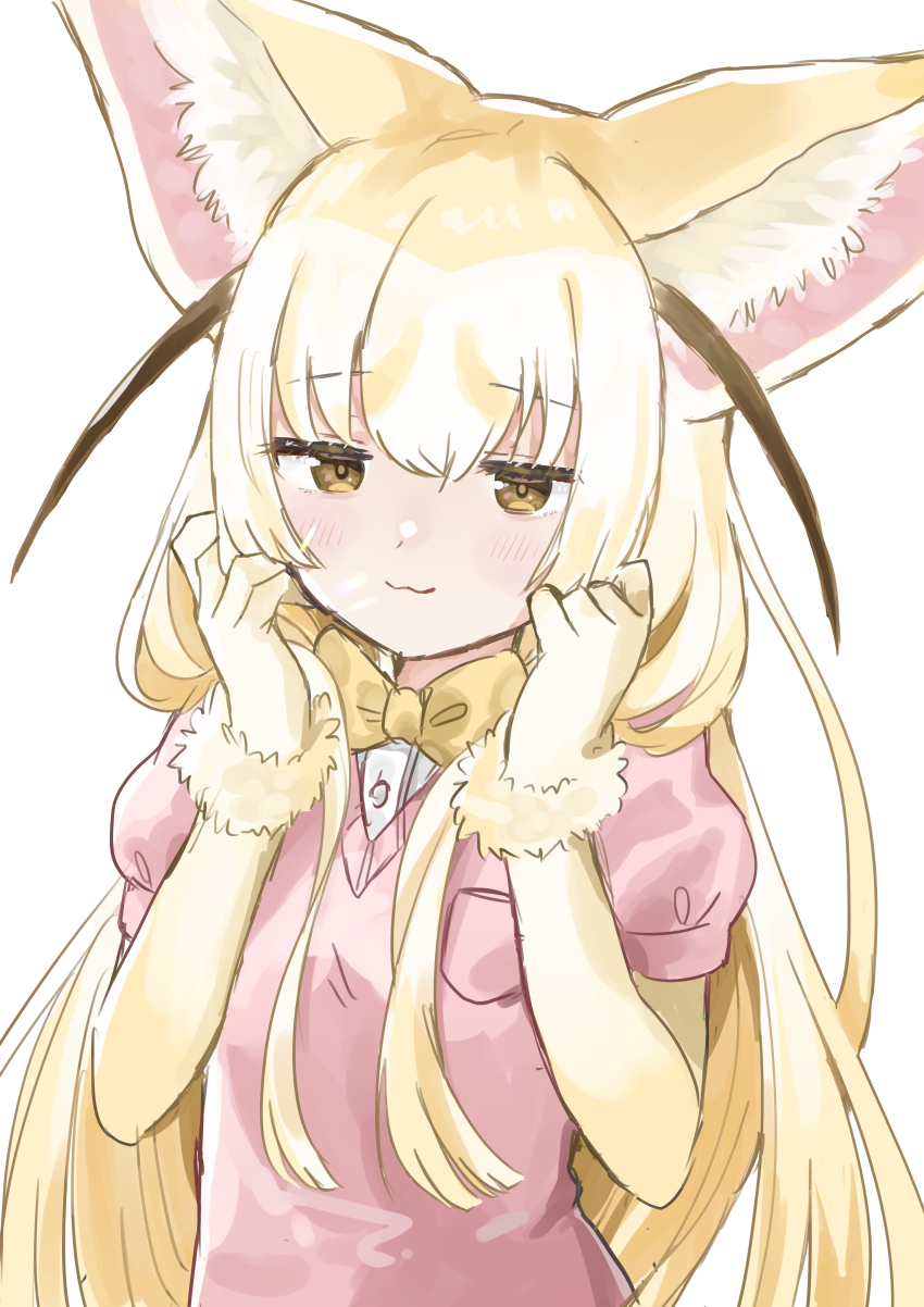 Fennec (Kemono Friends) Rule 34 Image